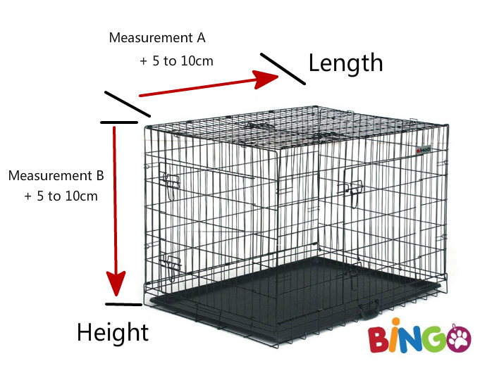 Dog Crate Buying Guide