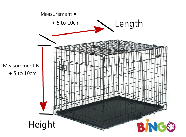 Dog Crate Buying Guide What Dog Crate Size Do I Need? Treasurebox Blogs